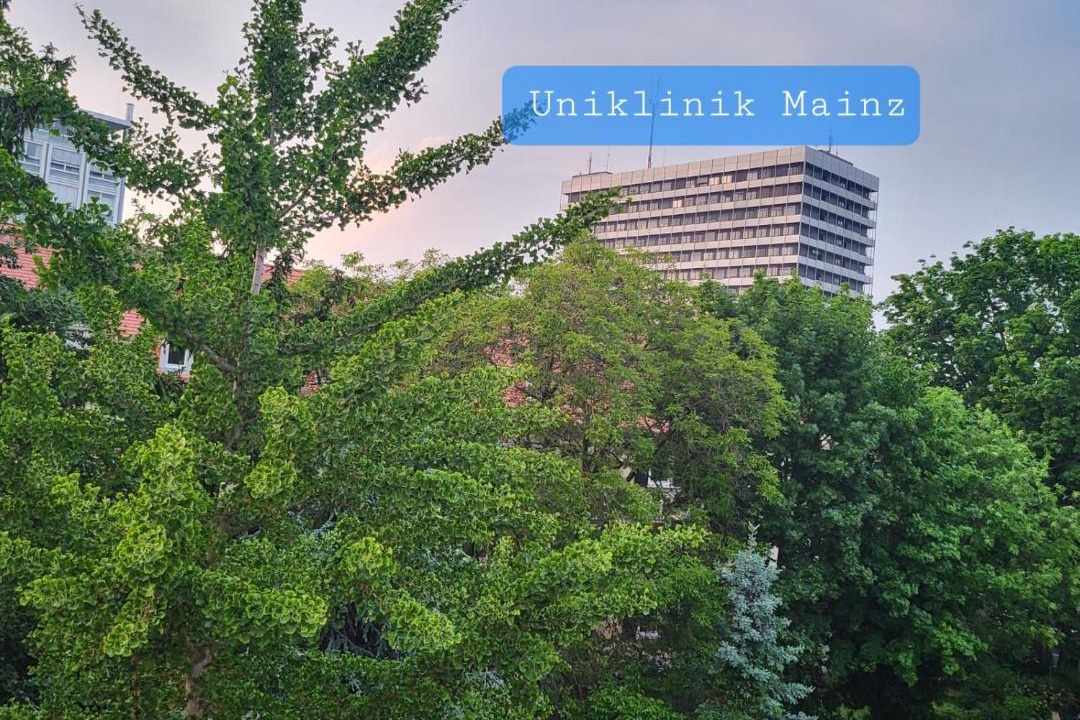 Photo of Others in Oberstadt
