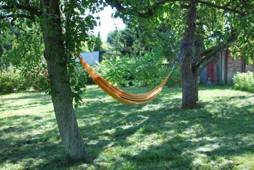 Photo of Outdoor in Bellin