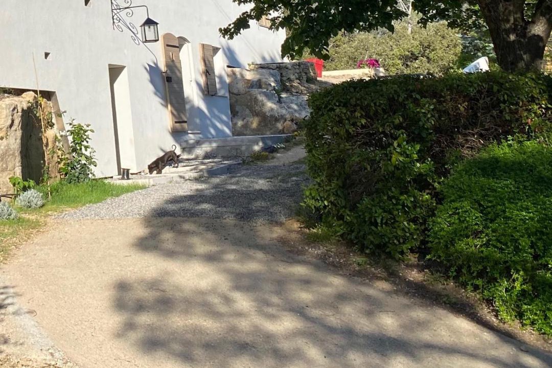 Photo of Buildings in Jouques
