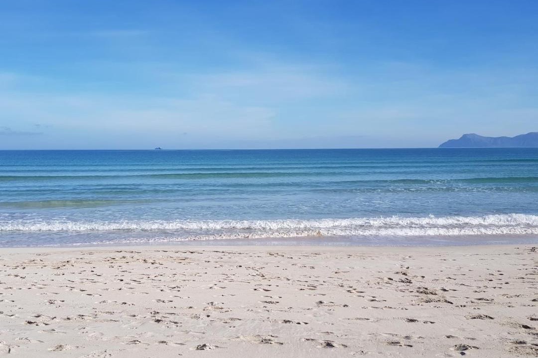 Photo of Others in Alcudia