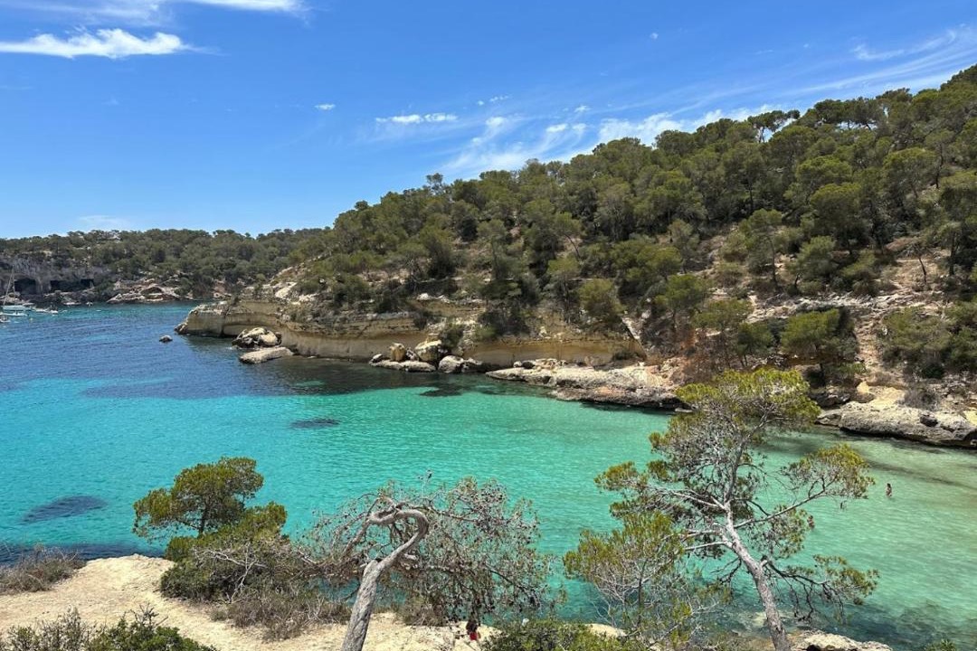 Photo of Others in Palma de Mallorca