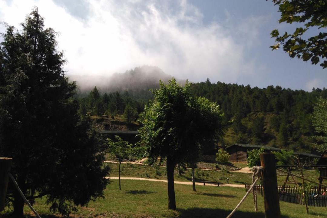 Photo of Others in Camarena de la Sierra