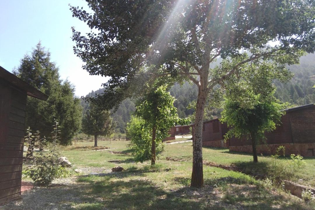 Photo of Others in Camarena de la Sierra