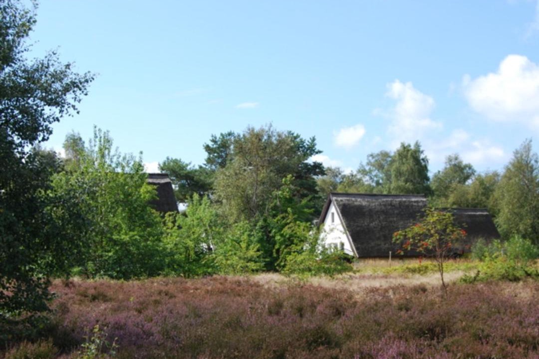 Photo of Others in Hiddensee