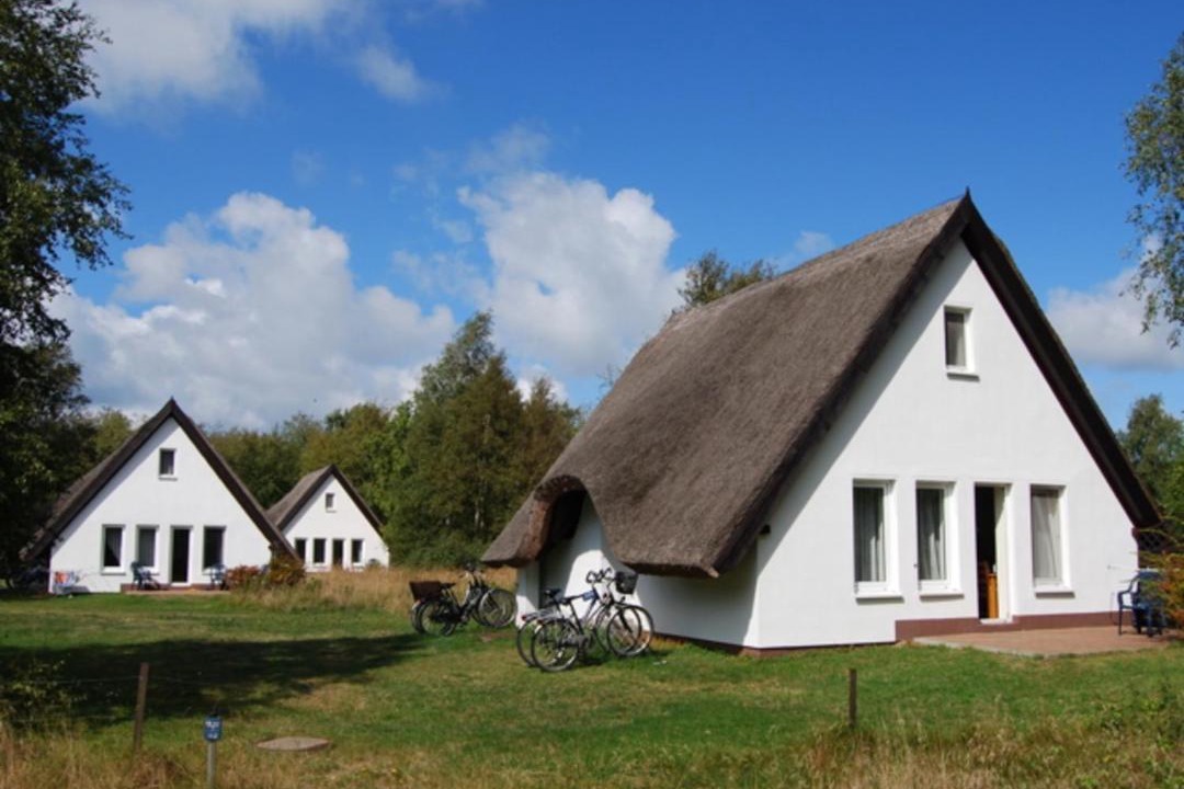 Photo of Others in Hiddensee