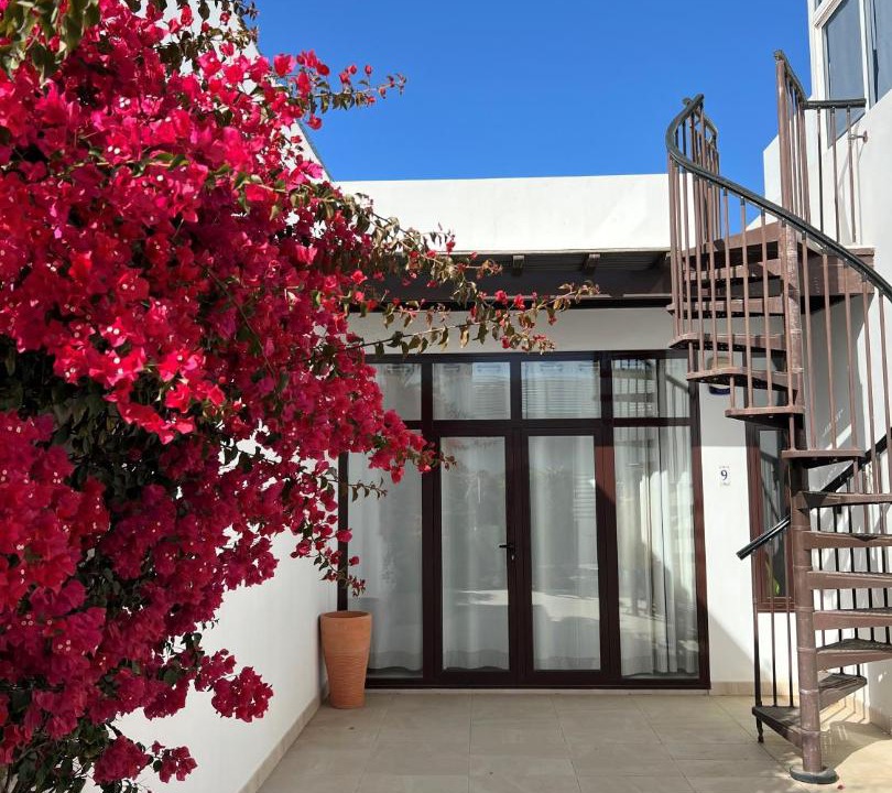 Photo of Buildings in Puerto Calero
