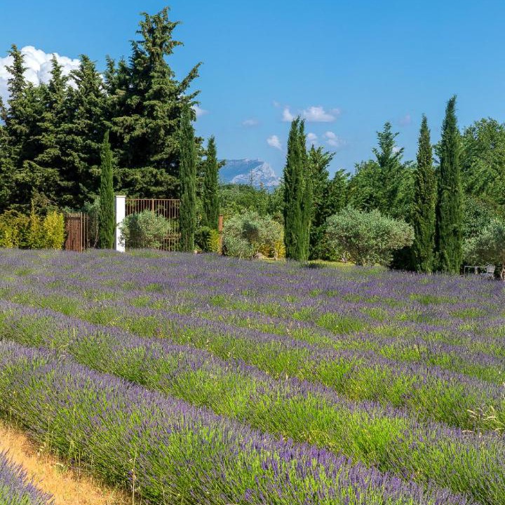 Photo of Others in Aix-en-Provence