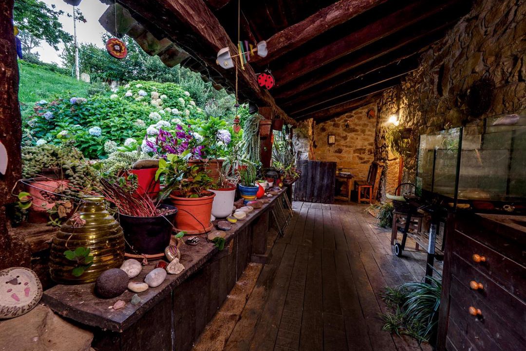 Photo of Patio Balcony in Riotuerto