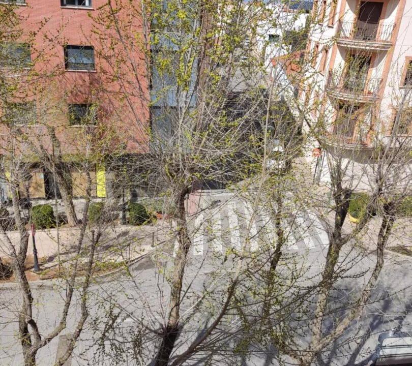 Photo of Others in Tomelloso