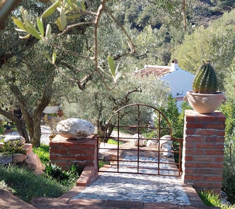 Photo of Others in Torrox
