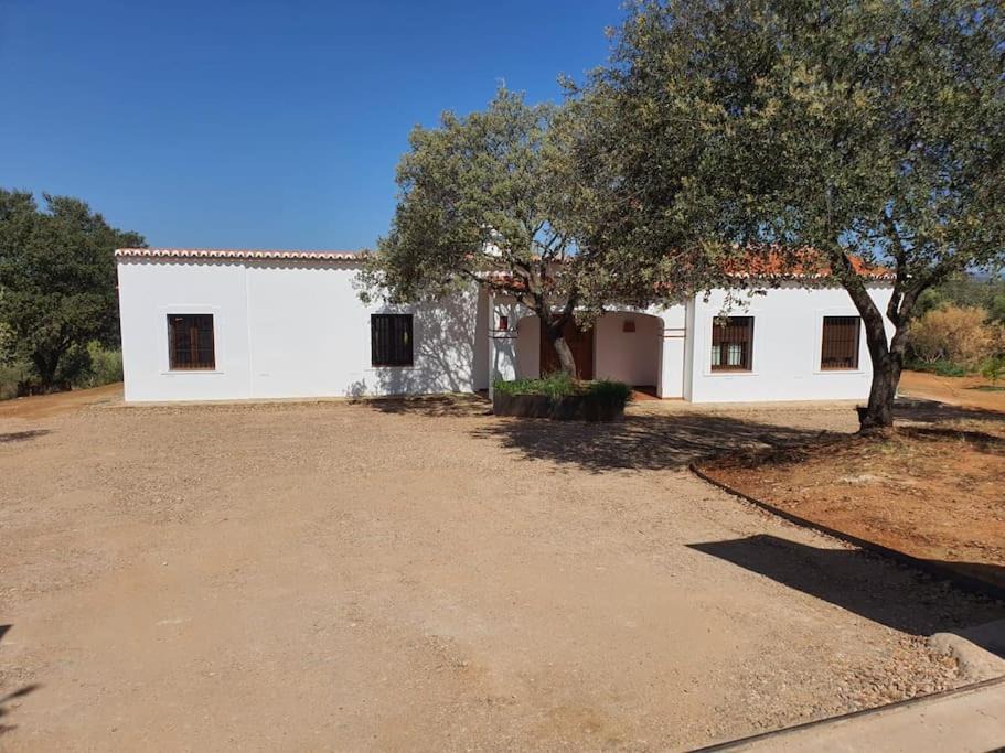 Photo of Others in Olivenza