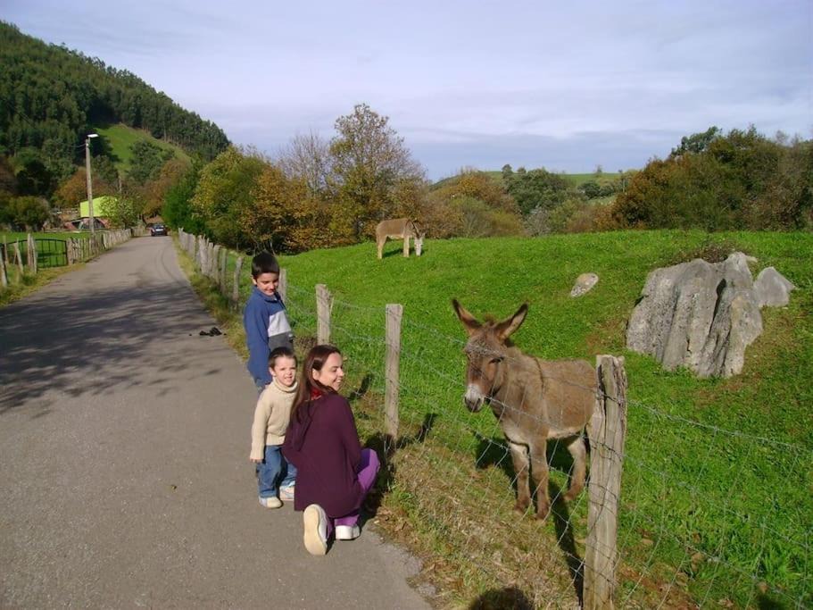 Photo of Others in Medio Cudeyo