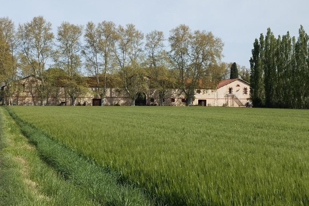 Photo of Others in Fourques