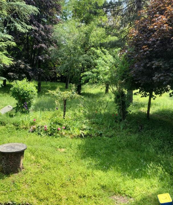 Photo of Others in Chatillon-en-Michaille