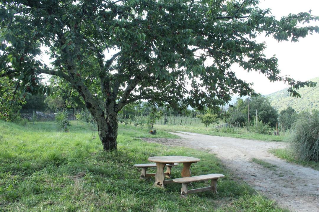 Photo of Others in Saint-Jean-du-Gard