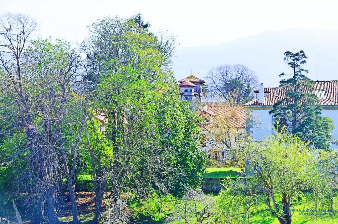 Photo of Outdoor in Colombres