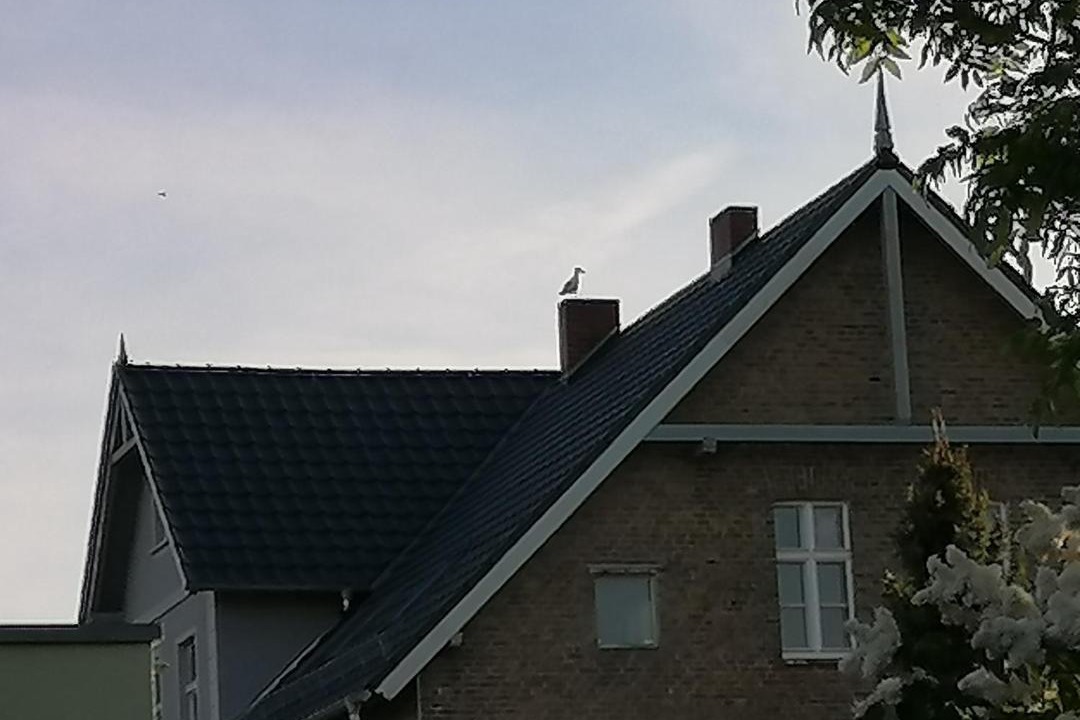 Photo of Others in Ueckermuende