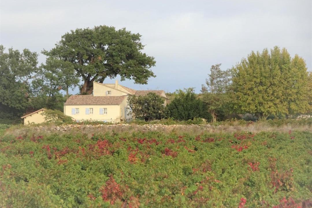 Photo of Others in Chateauneuf-du-Pape