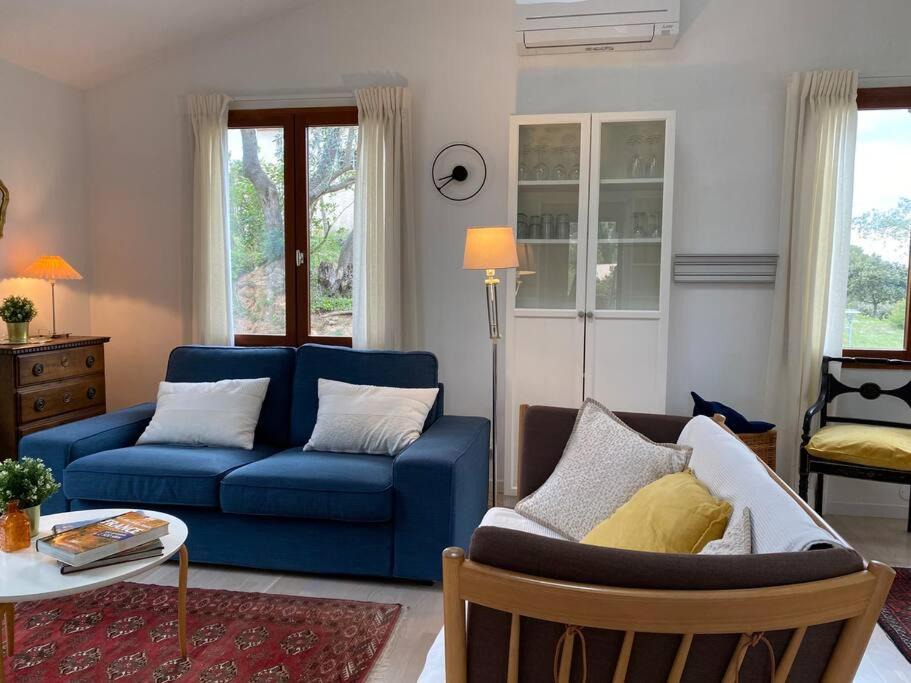 Photo of Livingroom in Montbrun-des-Corbieres