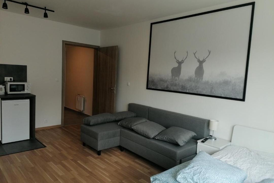 Photo of Livingroom in Palmovka