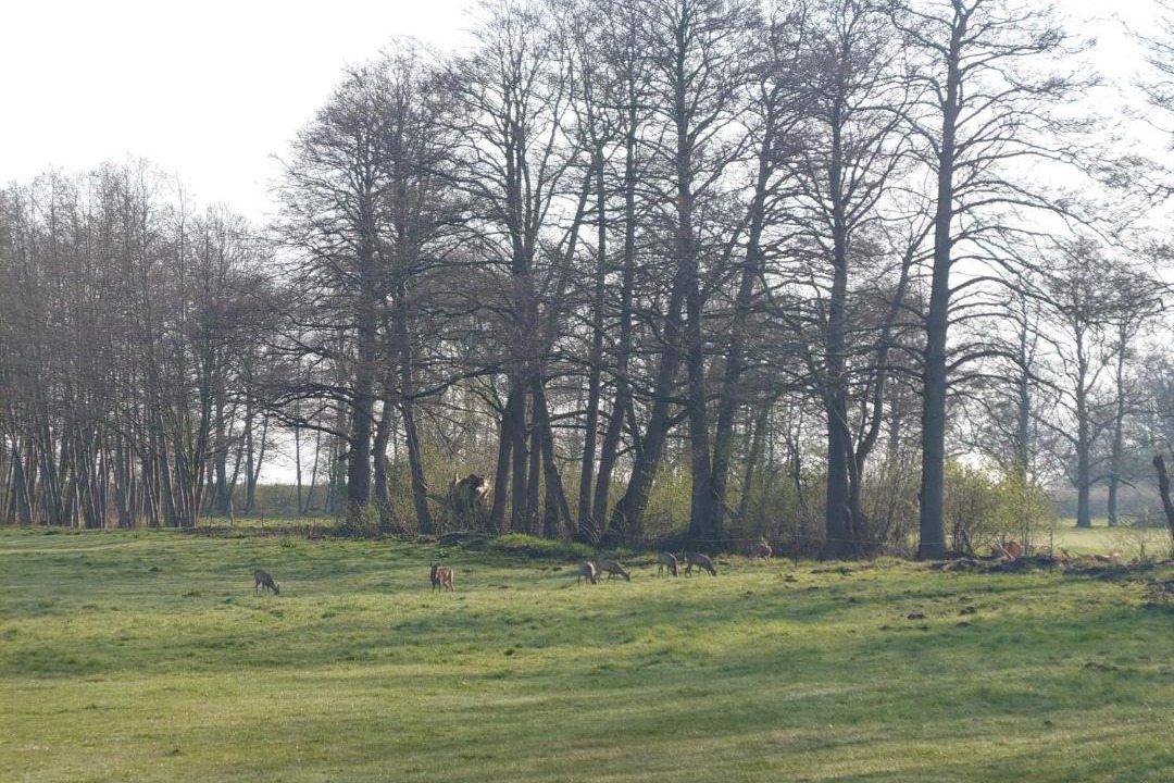 Photo of Others in Ueckermuende