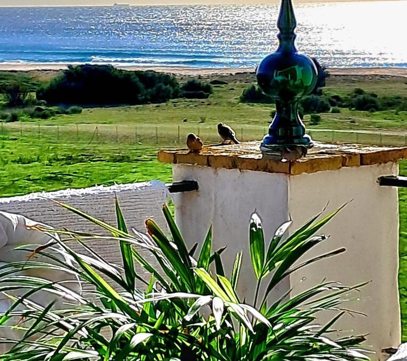 Photo of Patio Balcony in Atlanterra