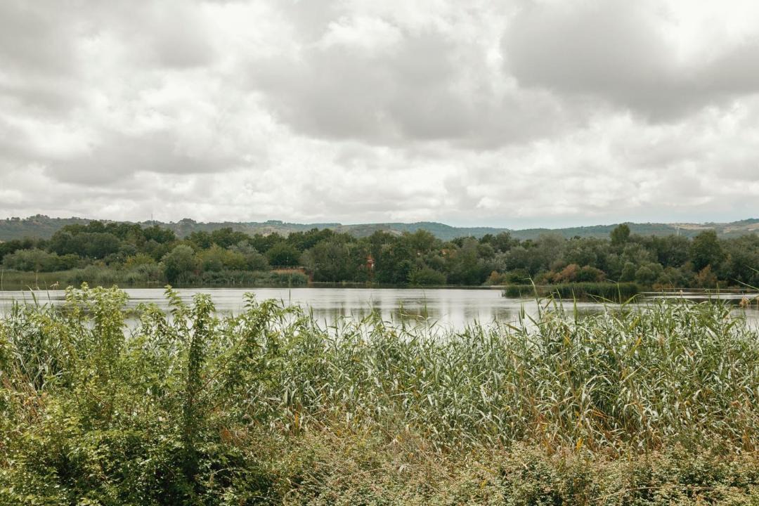 Photo of Outdoor in Talavera de la Reina