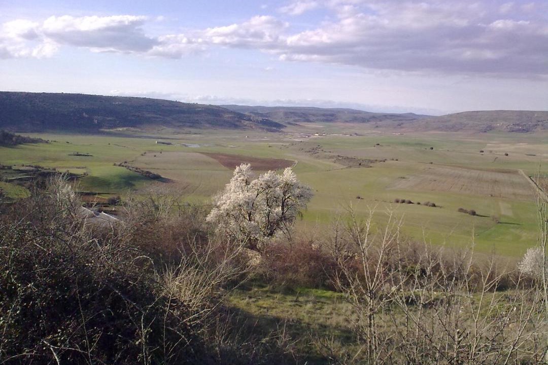 Photo of Outdoor in Carabias