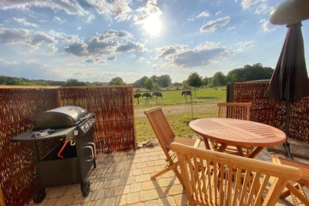 Photo of Patio Balcony in Bad Fallingbostel