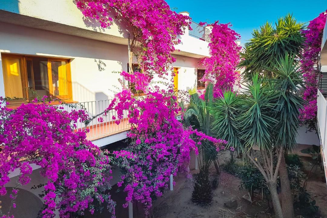 Photo of Patio Balcony in Vilamaniscle