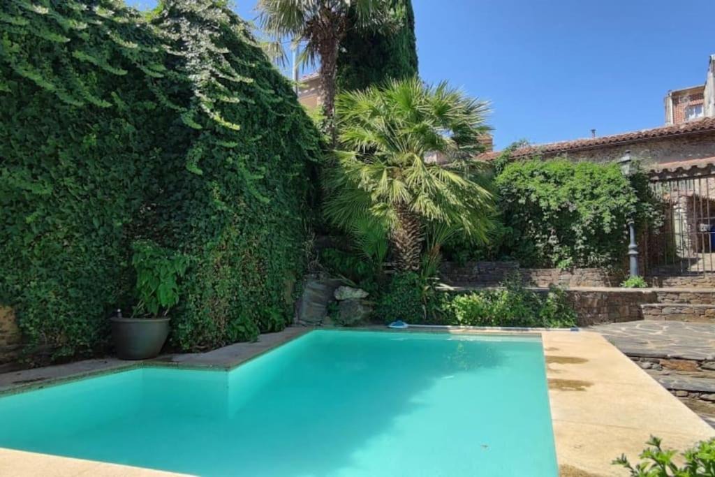 Photo of Outdoor in Casar de Palomero