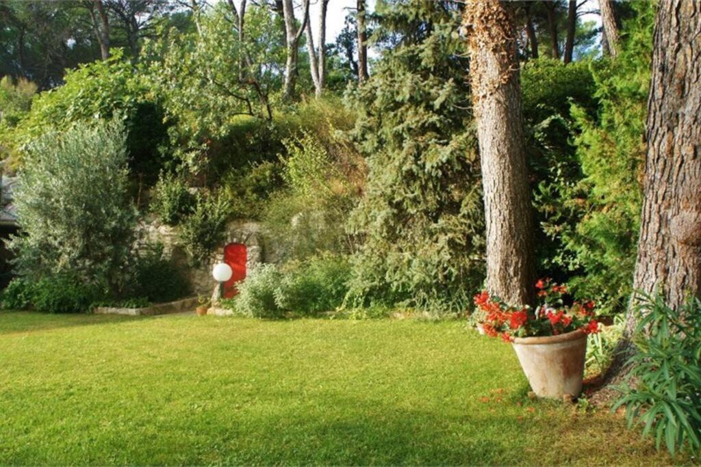 Photo of Others in Les Platrieres