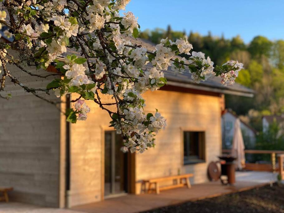 Photo of Buildings in Saint-Maurice-Crillat