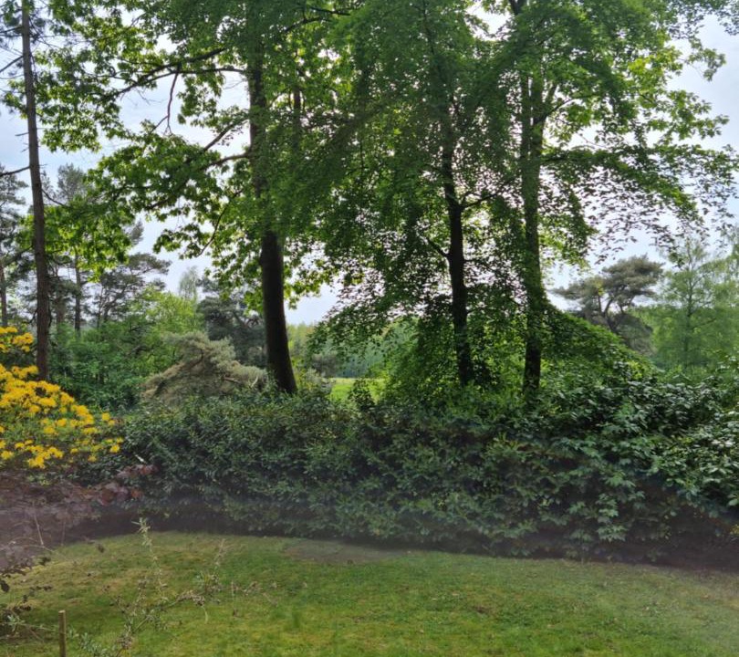 Photo of Others in Dotlingen