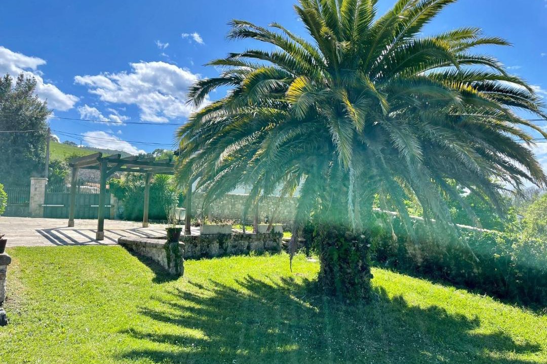 Photo of Outdoor in Liano