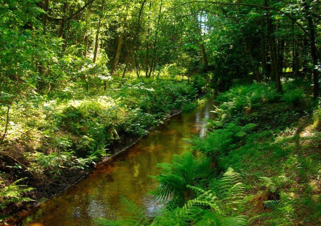Photo of Outdoor in Lutterloh