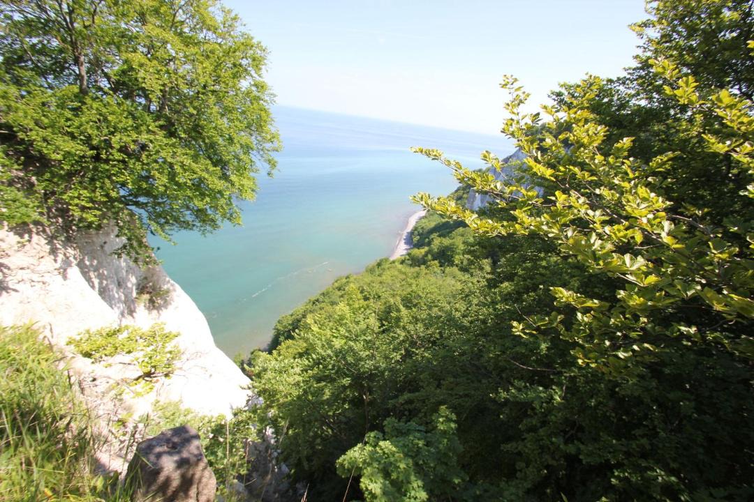Photo of Others in Lohme