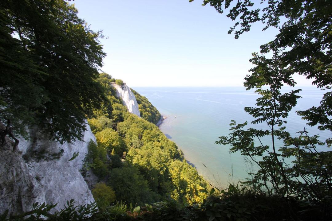 Photo of Others in Lohme