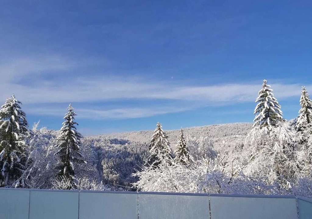 Photo of Others in Morez