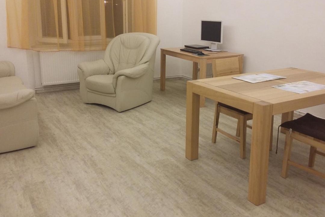 Photo of Livingroom in Holesovice