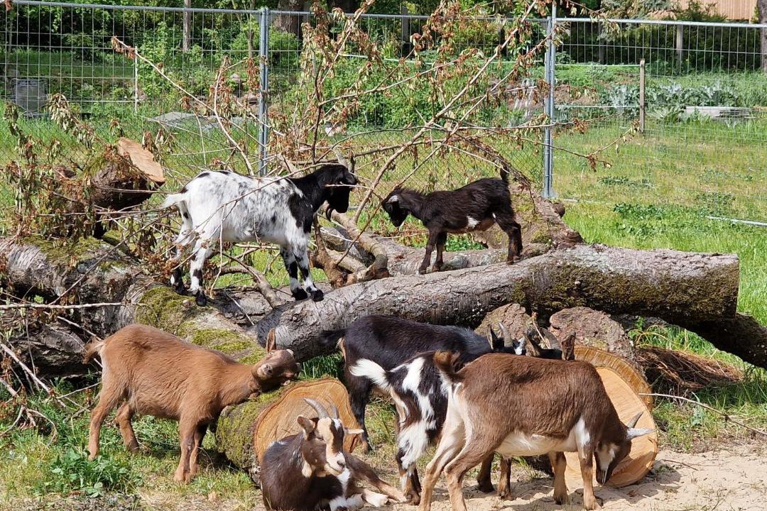 Photo of Others in Bannemin