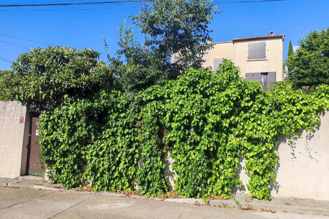 Photo of Others in Caremeau