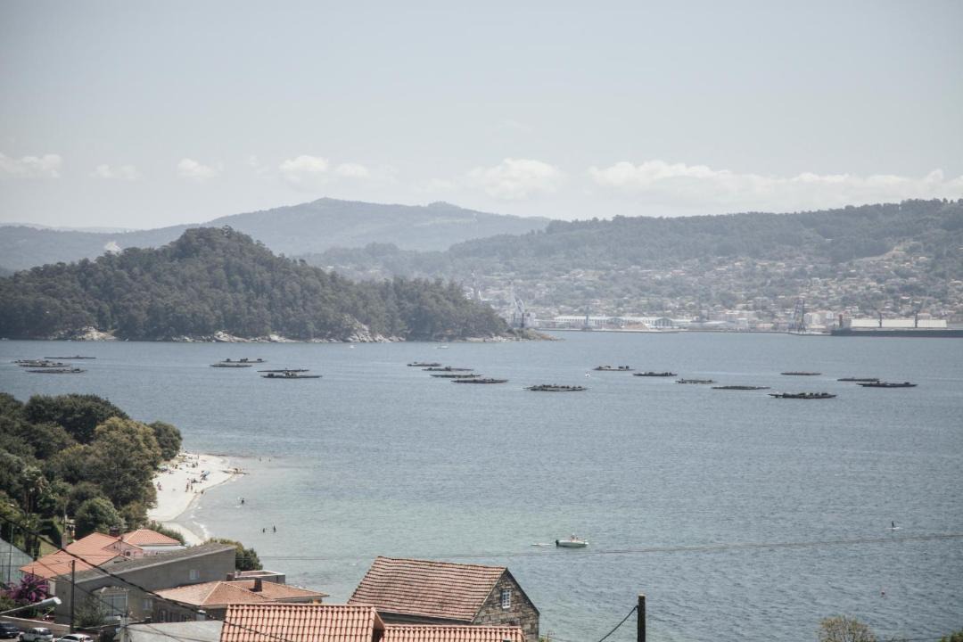 Photo of Outdoor in Samieira