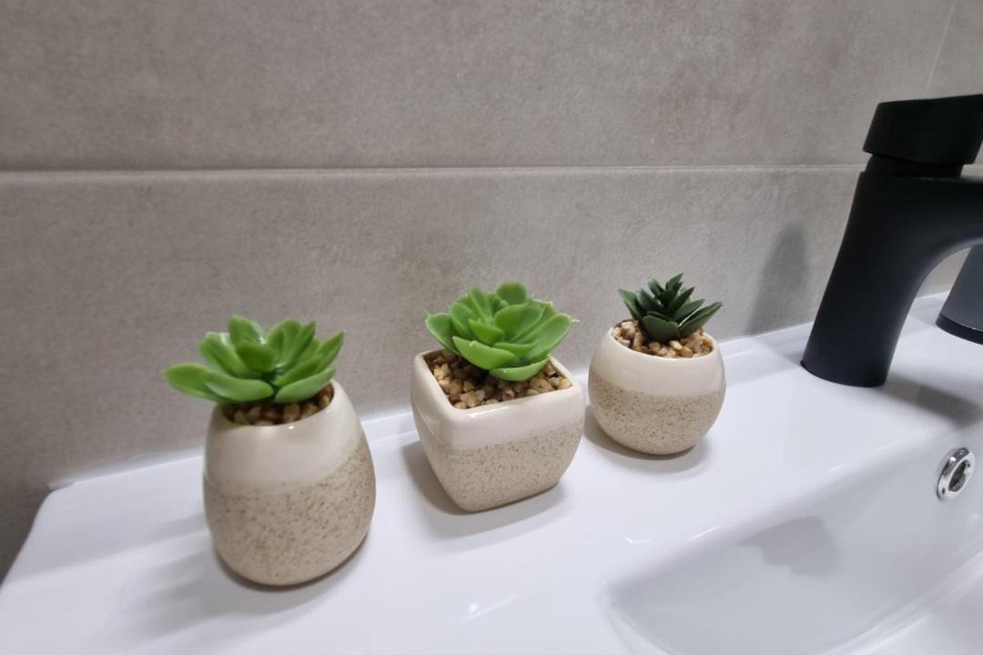 Photo of Bathroom in Olivenza