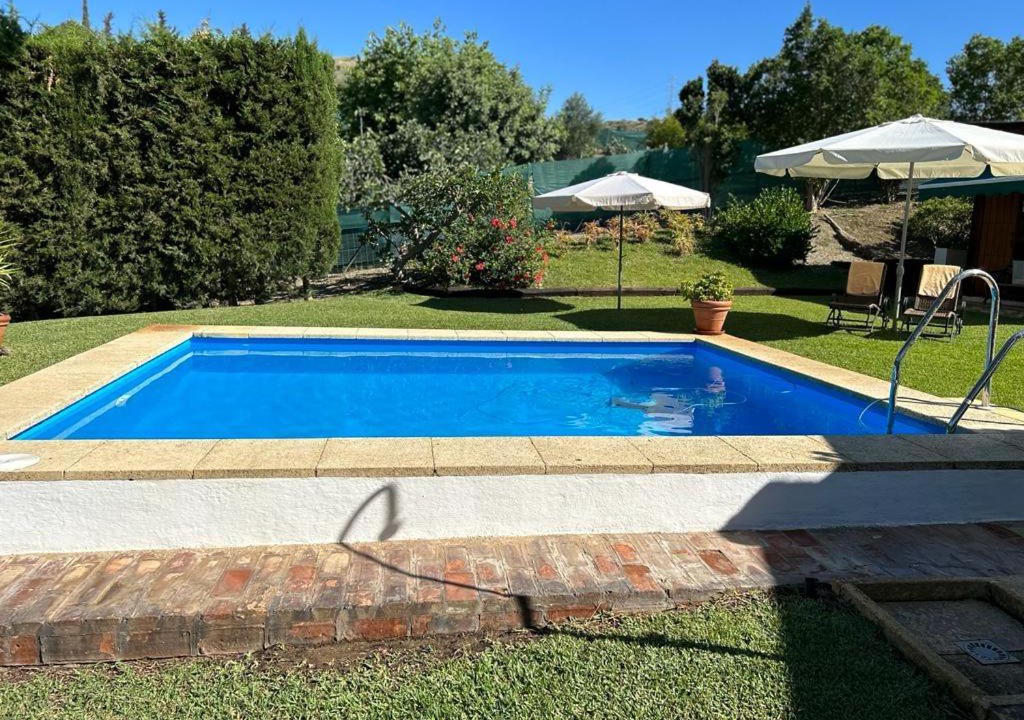 Photo of Outdoor in Campanillas