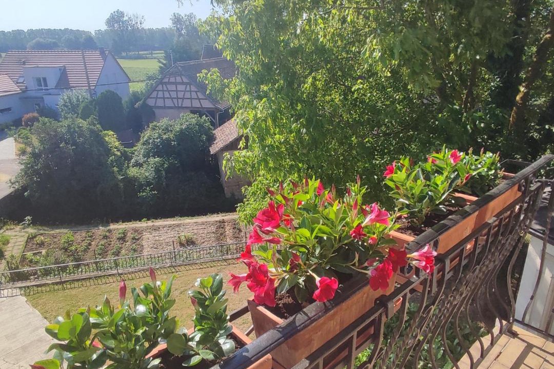 Photo of Others in Krautergersheim