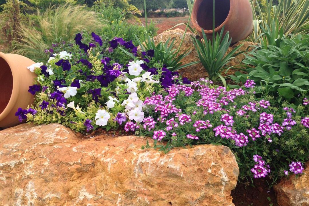 Photo of Outdoor in Sant Carles de Peralta