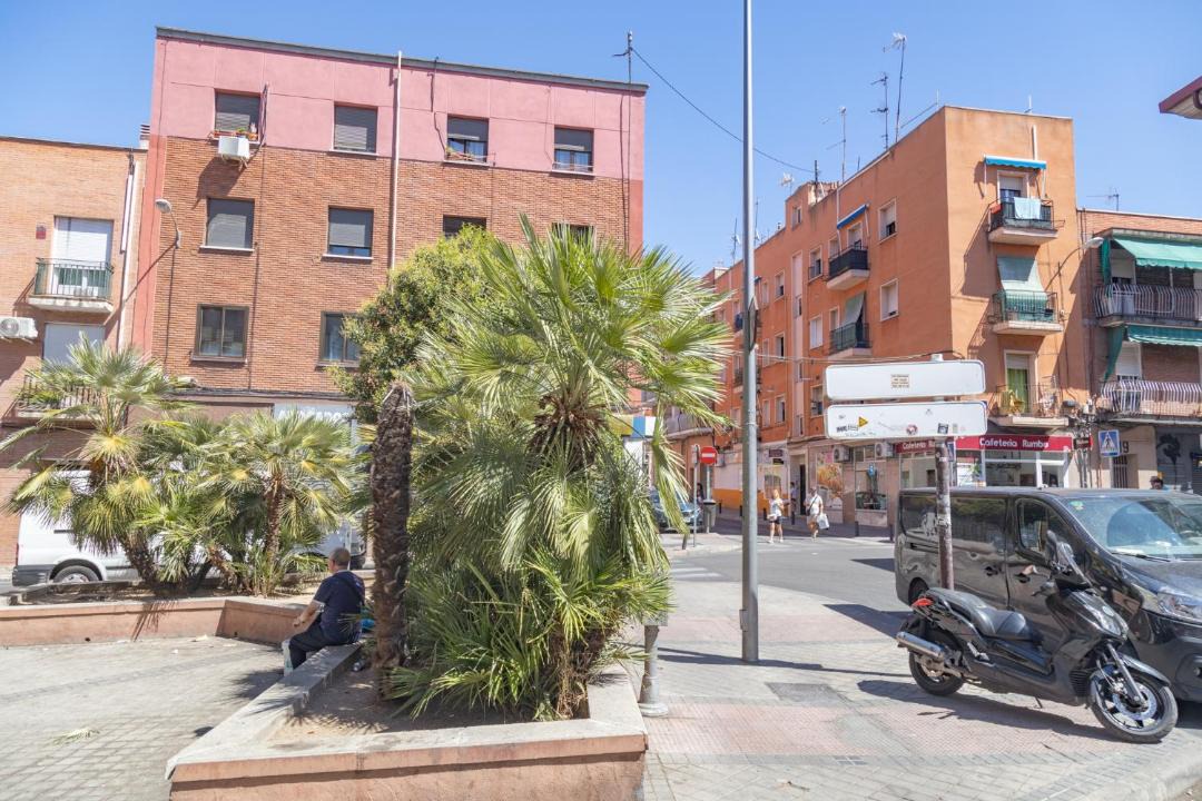 Photo of Others in Numancia