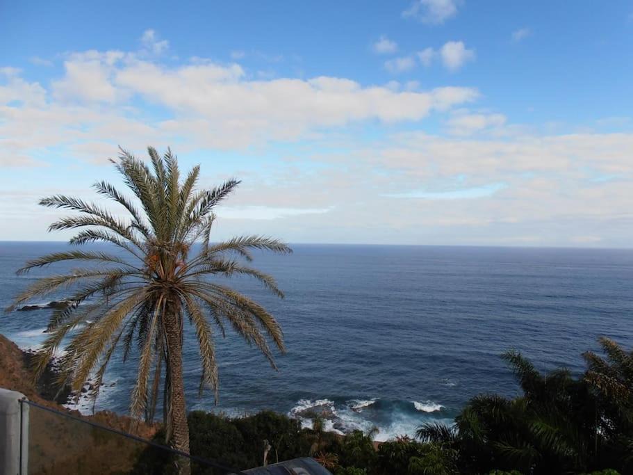 Photo of Outdoor in Los Realejos