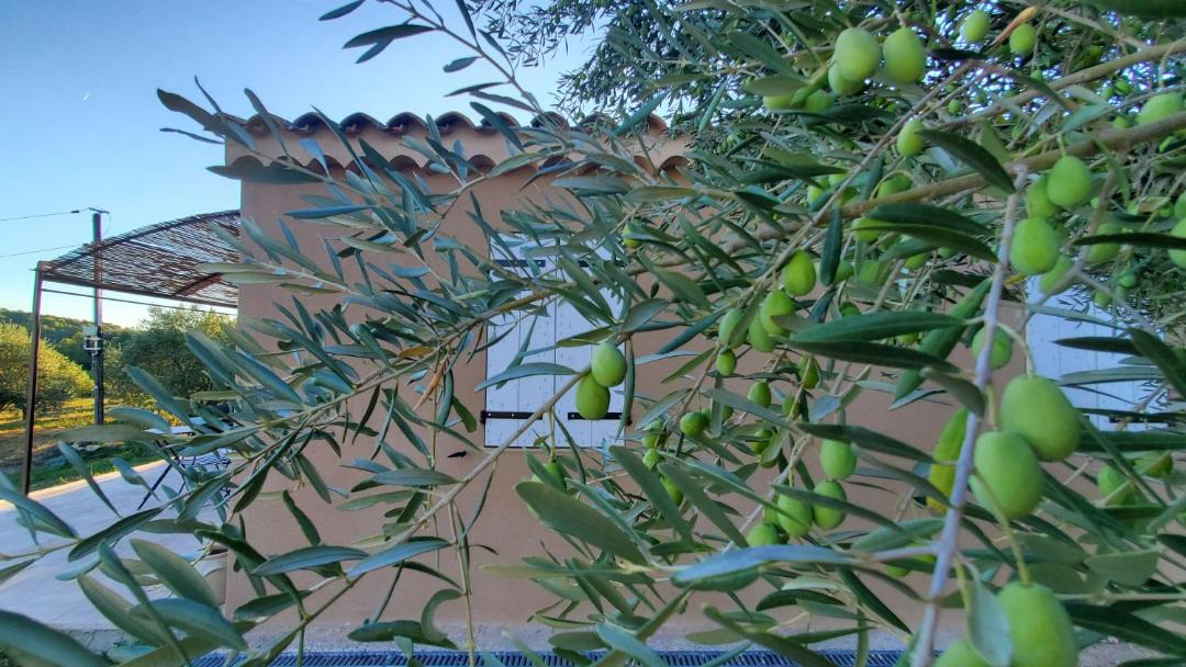 Photo of Others in Lauris